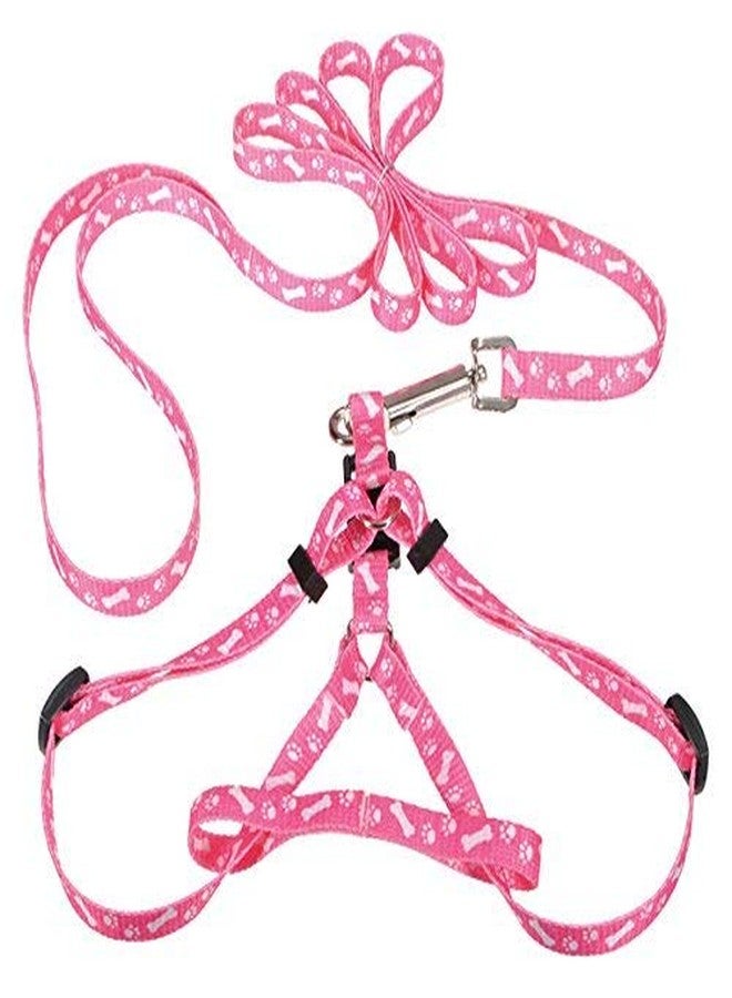 Nema NM Nema Pet Traction Rope Nylon Leash Harness Chest Collar Drawing Neck Lead Strap - Random Colour - Image 1